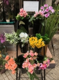 Flores Juanvic - Floristerías en Cáceres