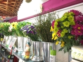 Flores Juanvic - Floristerías en Cáceres