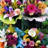 Flores Juanvic - Floristerías en Cáceres