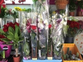 Flores Juanvic - Floristerías en Cáceres