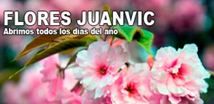 Flores Juanvic - Floristerías en Cáceres
