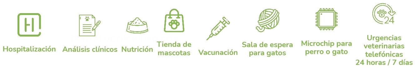 clínica veterinaria en Cáceres