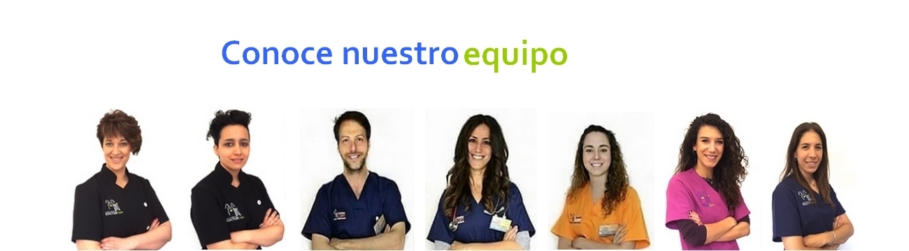 Clínica veterinaria en Cáceres, veterinarios urgencias en Cáceres