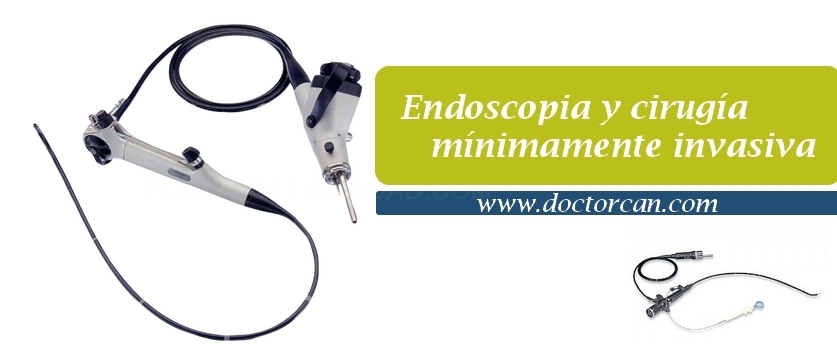 endoscopia animal, cirugía minimamente invasiva veterinaria Cáceres
