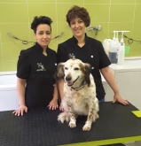 Doctor Can - Clínica veterinaria, Peluquería Canina
