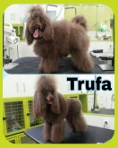 Doctor Can - Clínica veterinaria, Peluquería Canina