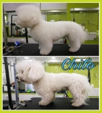 Doctor Can - Clínica veterinaria, Peluquería Canina