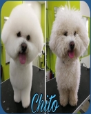 Doctor Can - Clínica veterinaria, Peluquería Canina