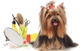 Doctor Can - Clínica veterinaria, Peluquería Canina
