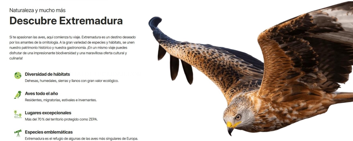 HOTEL PALACIO DE ARENALES & SPA - Birding In Extremadura