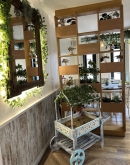 Restaurante Tapería José Márquez
