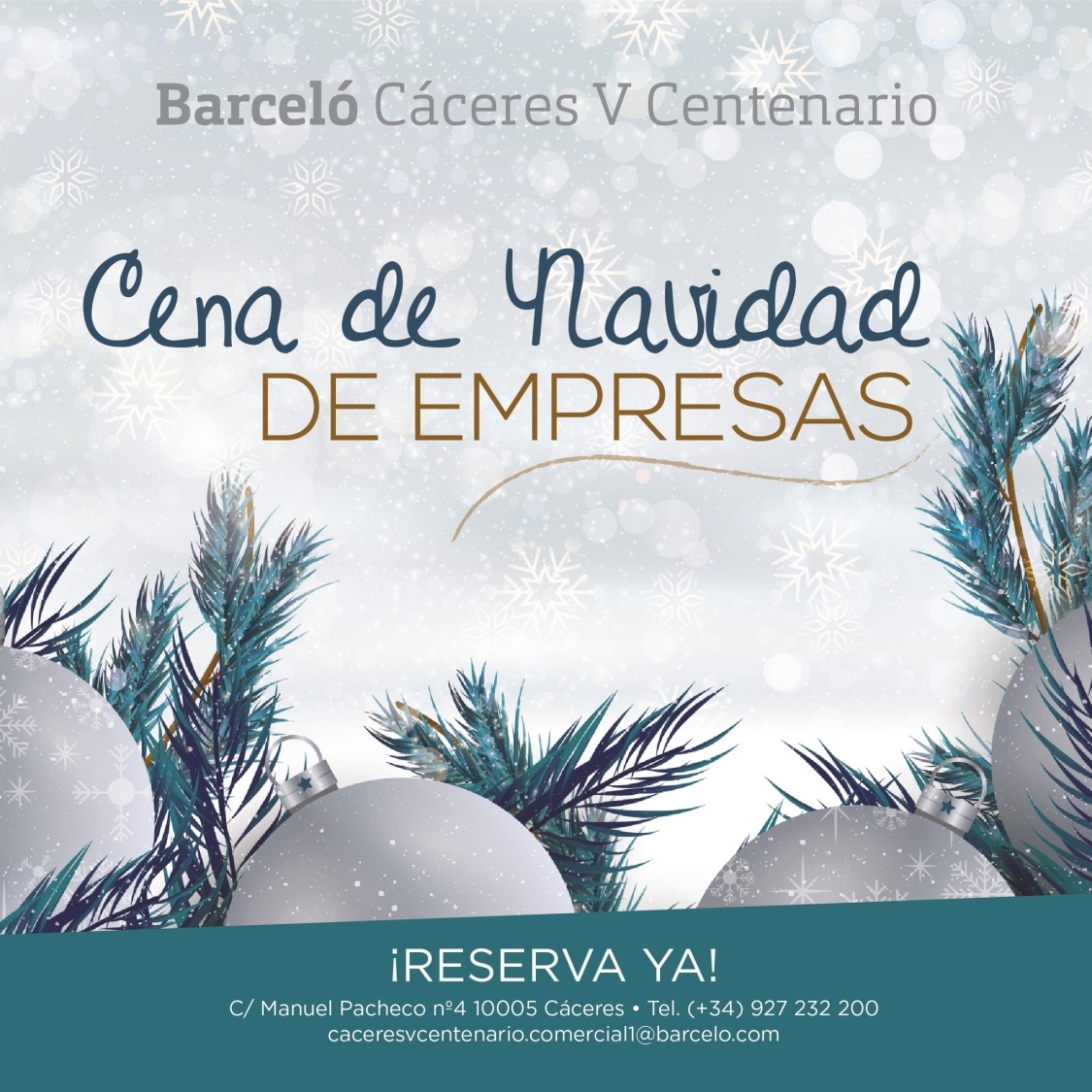 cenas de navidad cáceres, comidas de empresas cáceres, comidad de navidad cáceres