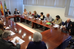 La Junta lleva a la Mesa de Concertación de Sanidad y Políticas Sociales acuerdos sobre vivienda, discapacidad, servicios sociales y sanidad pública