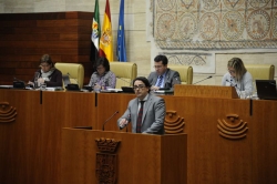 Los grupos parlamentarios se suman al pacto por un modelo sostenible de atención a la discapacidad