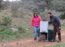Liberado el primer lince ibérico de Extremadura en 2016