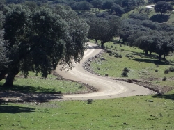 La Junta destina 60,5 millones al plan de caminos rurales y convoca a los ayuntamientos y a entidades locales menores a participar en su diseño