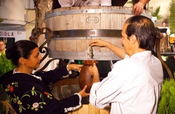 Fiesta de la Vendimia