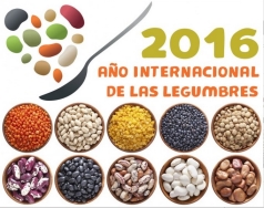 Las legumbres, un súper alimento