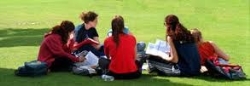 Los jóvenes muestran cada vez mayor tolerancia ante una situación de maltrato