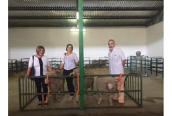 El Merino Precoz , de nuevo, Mejor Ganadería en el Concurso Nacional de Zafra.