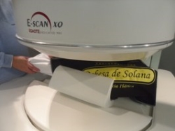 Imágenes de Resonancia Magnética para predecir el contenido en sal del jamón ibérico