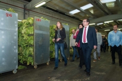 El presidente de la Junta visita en Riolobos el centro de curado de tabaco y la residencia de mayores