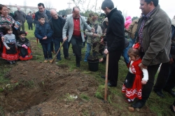 Cultura inicia el expediente para declarar ´La Fiesta del Árbol´ Bien de Interés Cultural