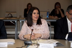 Responsables de la emigración española se reúnen en Madrid.