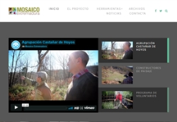 Participa en el proyecto Mosaico