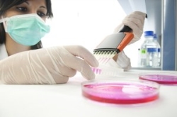 El uso de células madre en mallas quirúrgicas disminuye el proceso inflamatorio