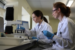 Cicytex desarrollará un Proyecto sobre Estrategias de Sostenibilidad Transferibles el Ibérico (ESTRIBER)