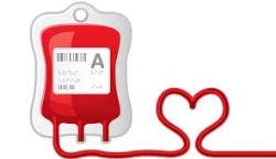 Las unidades móviles del Banco de Sangre y Tejidos de Extremadura (BSE) esperan recoger unas 3.700 donaciones.