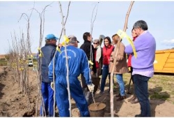 Éxito de la Campaña de Arbolado del Vivero provincial.