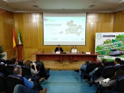 La directora general de Empresa, ha presentado el nuevo Decreto de Incentivos Autonómicos a la Inversión Empresarial.