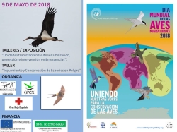 9 de mayo actividades y talleres por el Día Mundial de las Aves Migratorias en el parque Nacional de Monfragüe.