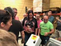 La Junta de Extremadura desarrolla en Las Hurdes y en Gata el proyecto Mosaico,que intenta frenar los incendios con un nuevo tipo de plantaciones.