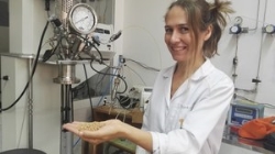 Una investigación de la UEx crea un filtro biomásico para mejorar la calidad del agua.