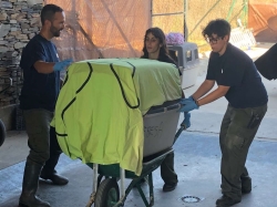 Se realiza un operativo de evacuación y traslado de nueve linces del Algarve al Centro de Cría de Granadilla.