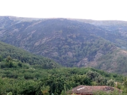 Medios aéreos trabajan en la extinción de un incendio en Cabezuela Del Valle