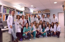 Un estudio multicéntrico español revela que es factible diagnosticar apneas de sueño en Atención Primaria.