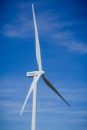 El presidente de la Junta de Extremadura ha asegurado que la región extremeña será la punta de lanza de las energías renovables en España.