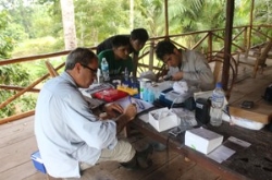 Los investigadores Alfonso Marzal y Sergio Magallanes estudian la importancia de la glándula uropigial presente en las aves.