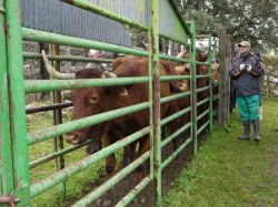 Se ha registrado un aumento del más del 70% en las solicitudes para la ayuda a la creación de empresas para jóvenes agricultores y agricultoras.