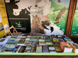 Extremadura invita a los turistas de Madrid a observar aves en la naturaleza y los núcleos urbanos de la región.