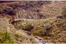 Aprobados cuatro nuevos proyectos de cooperación transfronteriza en la provincia cacereña.