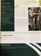 La medida de ‘Inversiones de comercialización de ganado en común’ ha sido seleccionada como buena práctica del PDR 2014-2020 por la Red Rural Nacional