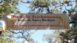 La Junta de Extremadura colabora en la celebración de la XII edición del Día de la Trashumancia