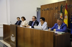 El Gobierno extremeño ha reafirmado el compromiso con los objetivos de estabilidad presupuestaria y con la defensa de los intereses regionales.