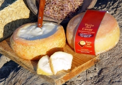 La DOP Torta del Casar regresa a la Fundación "Basque Culinary Center" de San Sebastián
