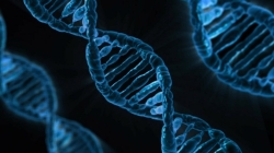 Hombres, ¿únicos responsables de los grandes avances en la Ciencia?